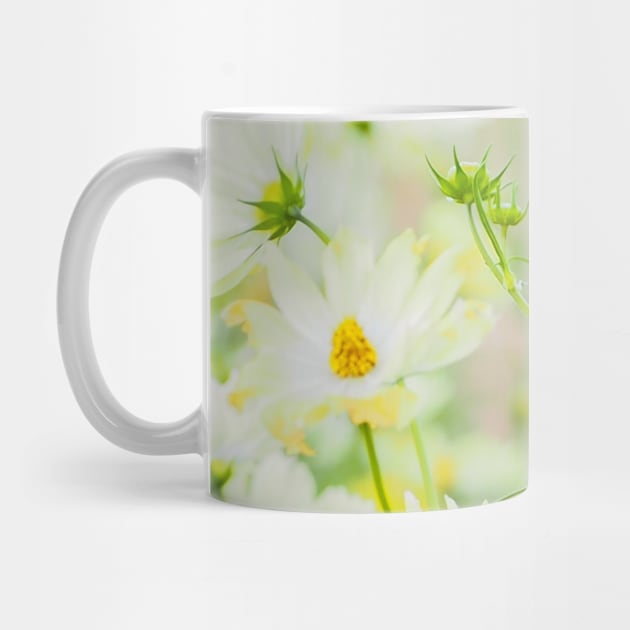 SCENERY 73 - Yellow White Chamomile Flower Blossom Green Leaves by artvoria